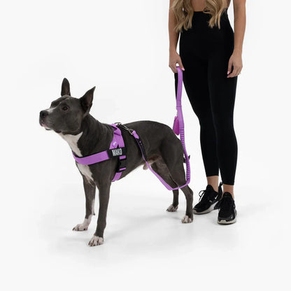 Personalised Dog Harness + FREE D-ring