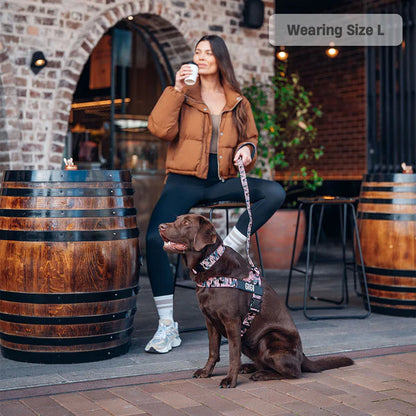 Personalised Dog Harness + FREE D-ring